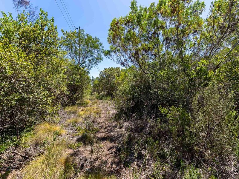 Vacant plot with temporary house structure/ off grid living lifestyle: - Photo 10