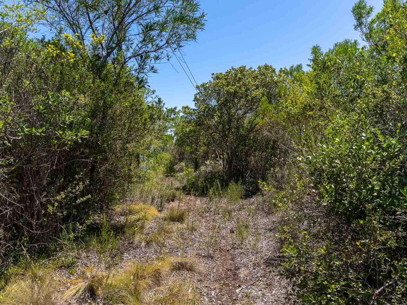 Vacant plot with temporary house structure/ off grid living lifestyle: - Photo 9