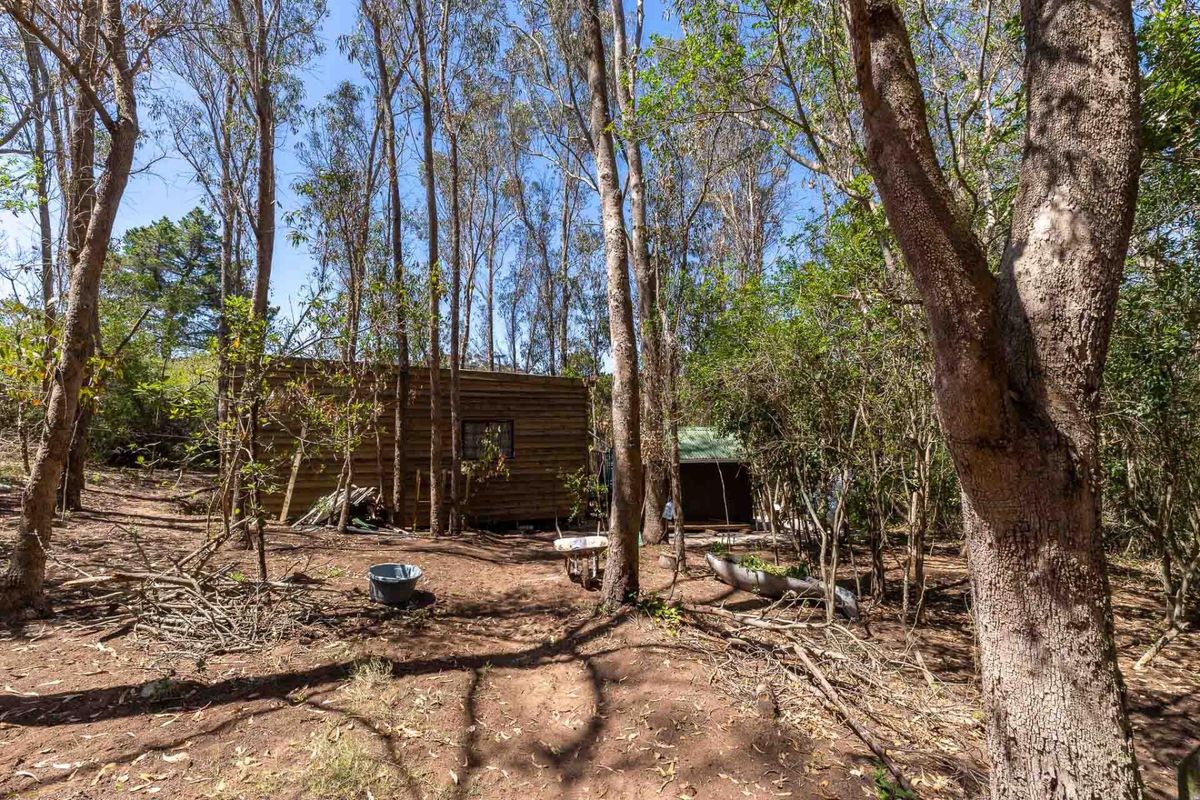 A view of a rustic wooden structure situated within a densely wooded residential plot, featuring natural landscaping and mature trees.