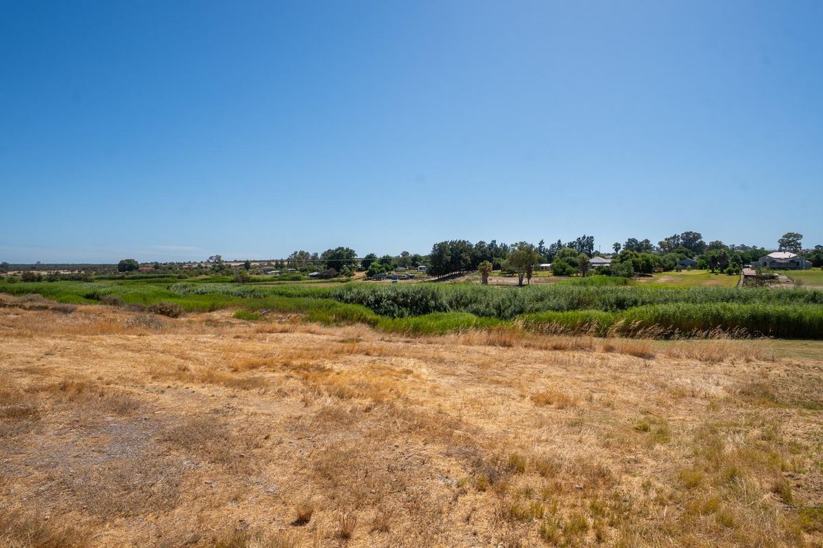 One of the Last Along the Sout River - Photo 5