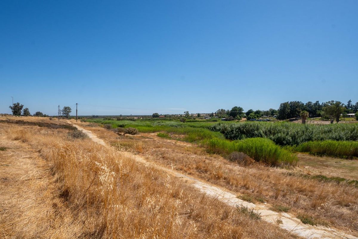 One of the Last Along the Sout River - Photo 2