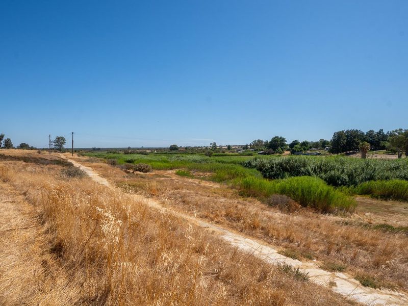 One of the Last Along the Sout River - Photo 2