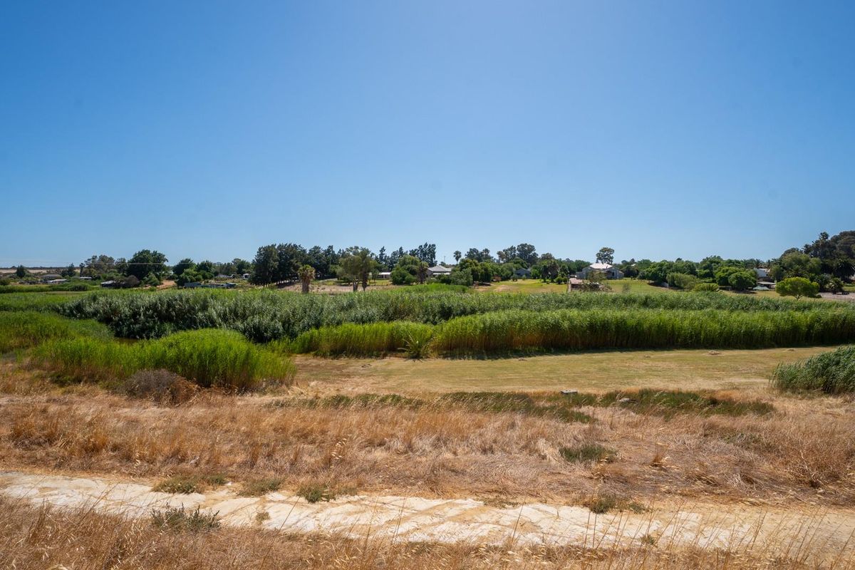 One of the Last Along the Sout River - Photo 3