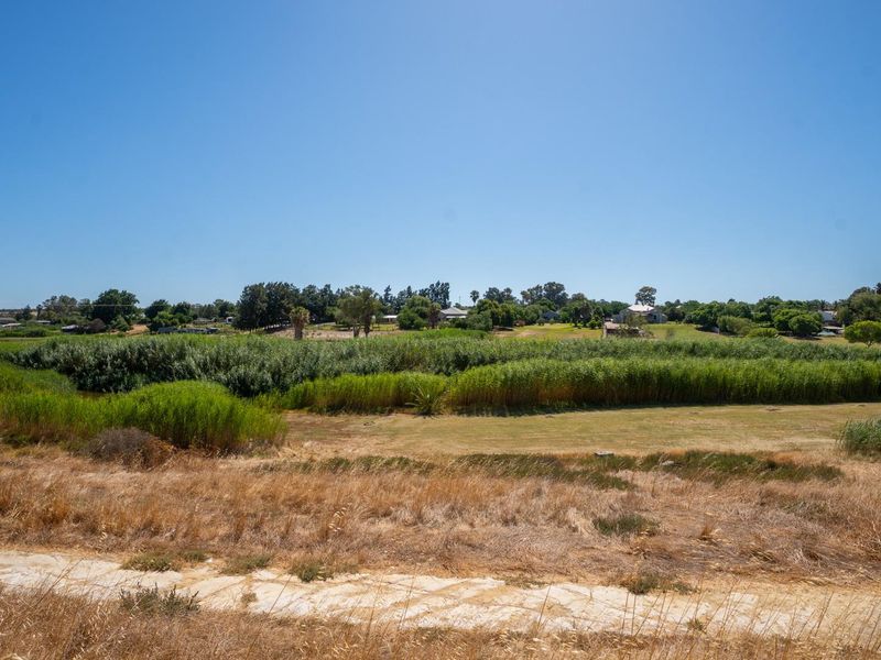 One of the Last Along the Sout River - Photo 3