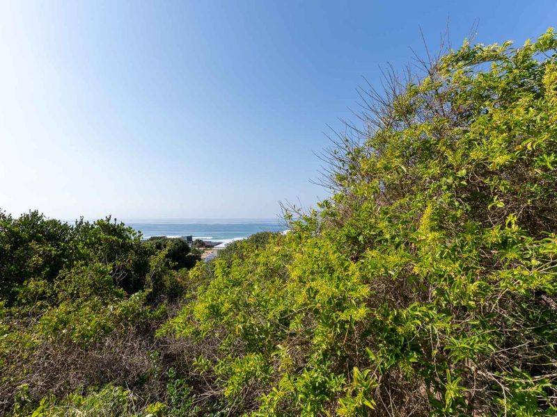 Extra large stand in exclusive suburb with outstanding ocean views 200 m from the beach - Photo 9