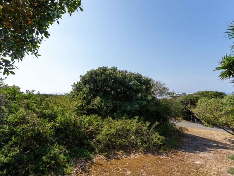 Extra large stand in exclusive suburb with outstanding ocean views 200 m from the beach - Photo 8