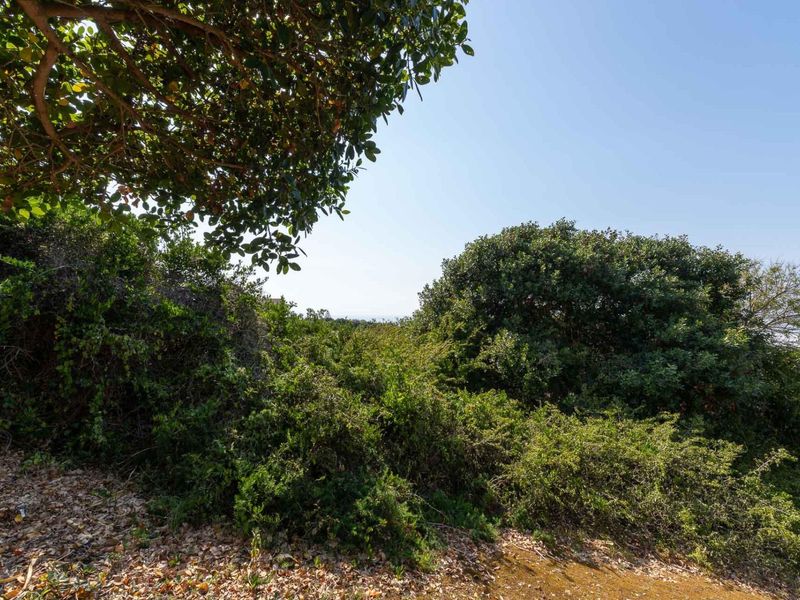 Extra large stand in exclusive suburb with outstanding ocean views 200 m from the beach - Photo 7