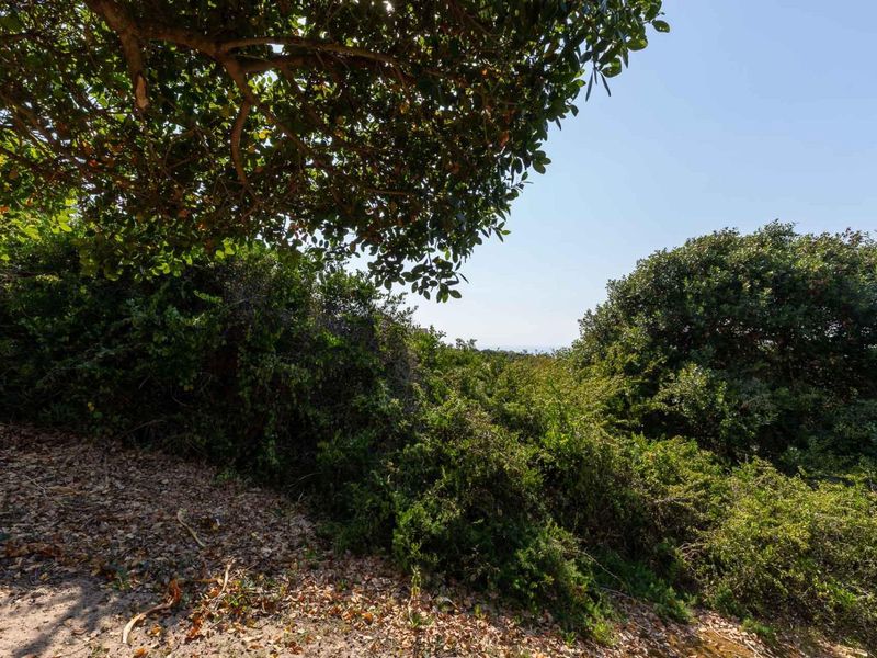 Extra large stand in exclusive suburb with outstanding ocean views 200 m from the beach - Photo 6