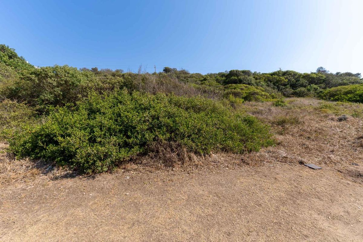 A view of the sloped, undeveloped residential land featuring natural vegetation and native shrubbery.