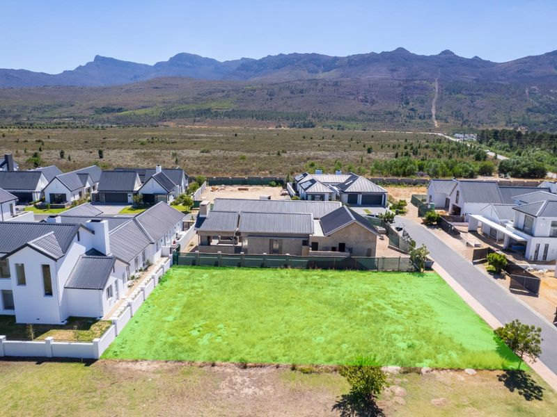 One of the last remaining north-facing stands in The Acres at Pearl Valley Golf and Country Estate. - Photo 7