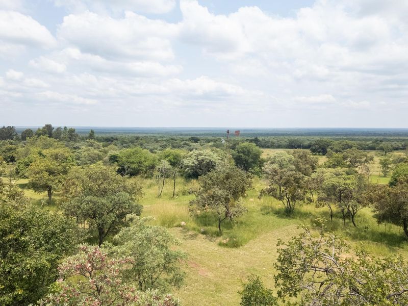 Exceptional 70ha Multi-Purpose Farm on the R101 near Mokopane. - Photo 10