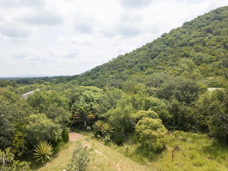 Exceptional 70ha Multi-Purpose Farm on the R101 near Mokopane. - Photo 9
