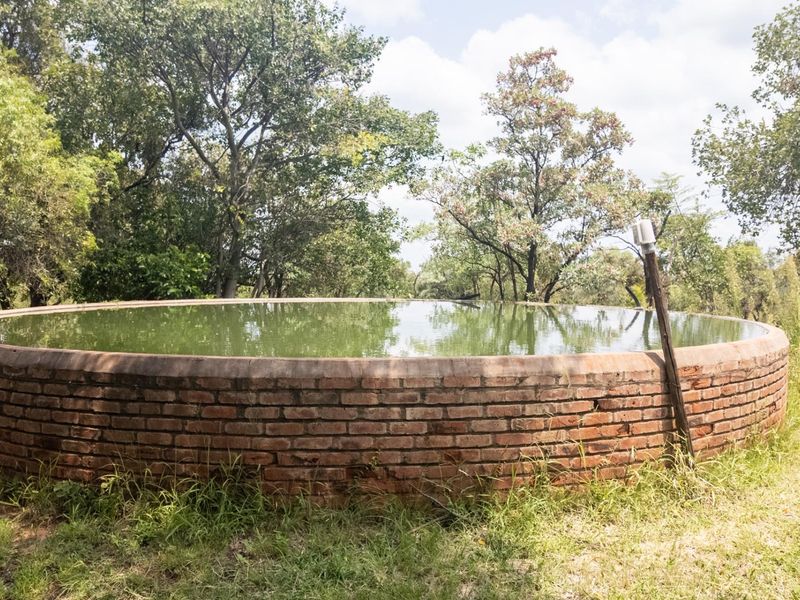 Exceptional 70ha Multi-Purpose Farm on the R101 near Mokopane. - Photo 8