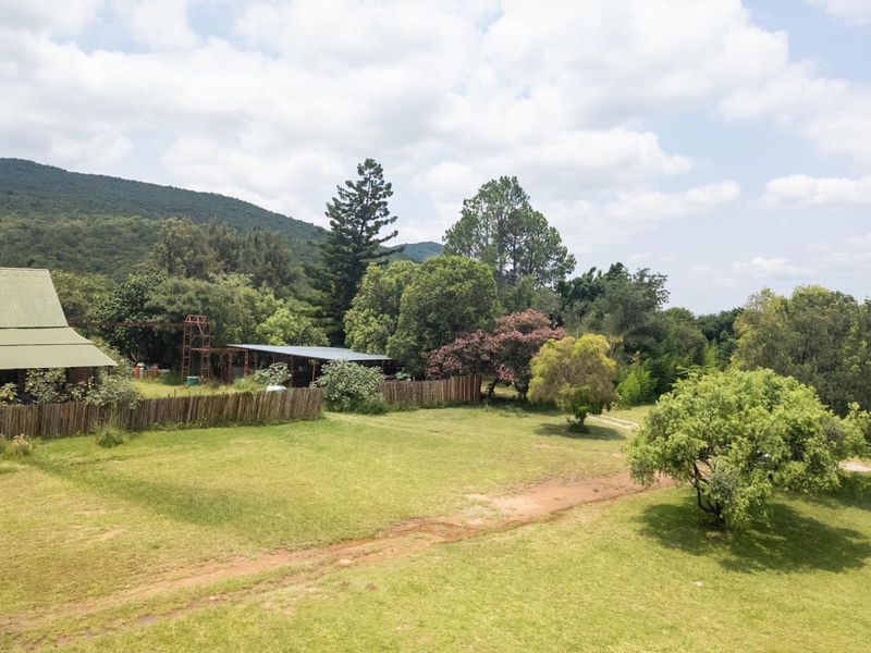 Exceptional 70ha Multi-Purpose Farm on the R101 near Mokopane. - Photo 5