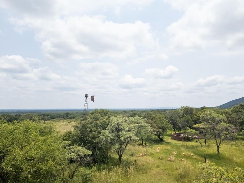 Exceptional 70ha Multi-Purpose Farm on the R101 near Mokopane. - Photo 3