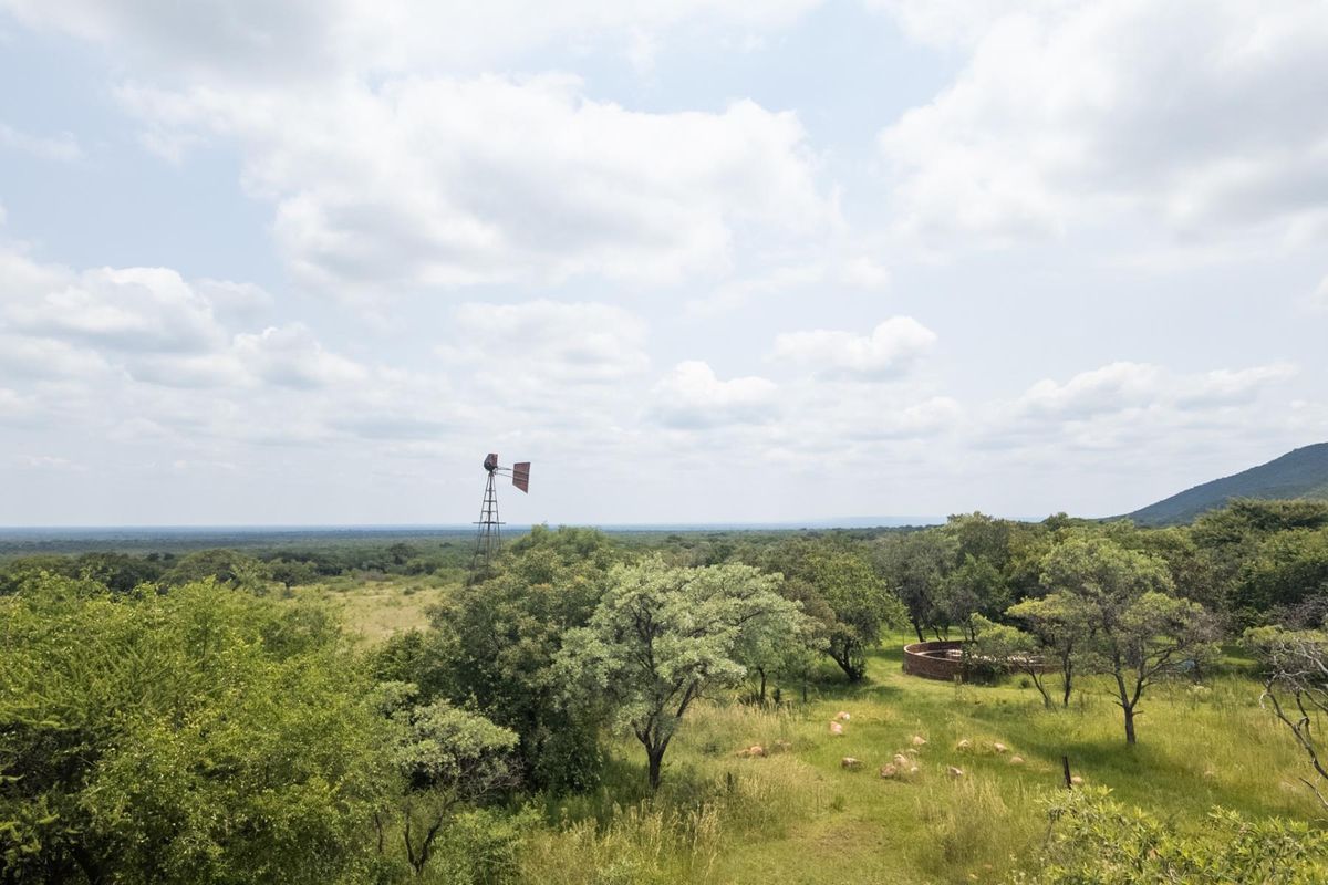Exceptional 70ha Multi-Purpose Farm on the R101 near Mokopane. - Photo 3