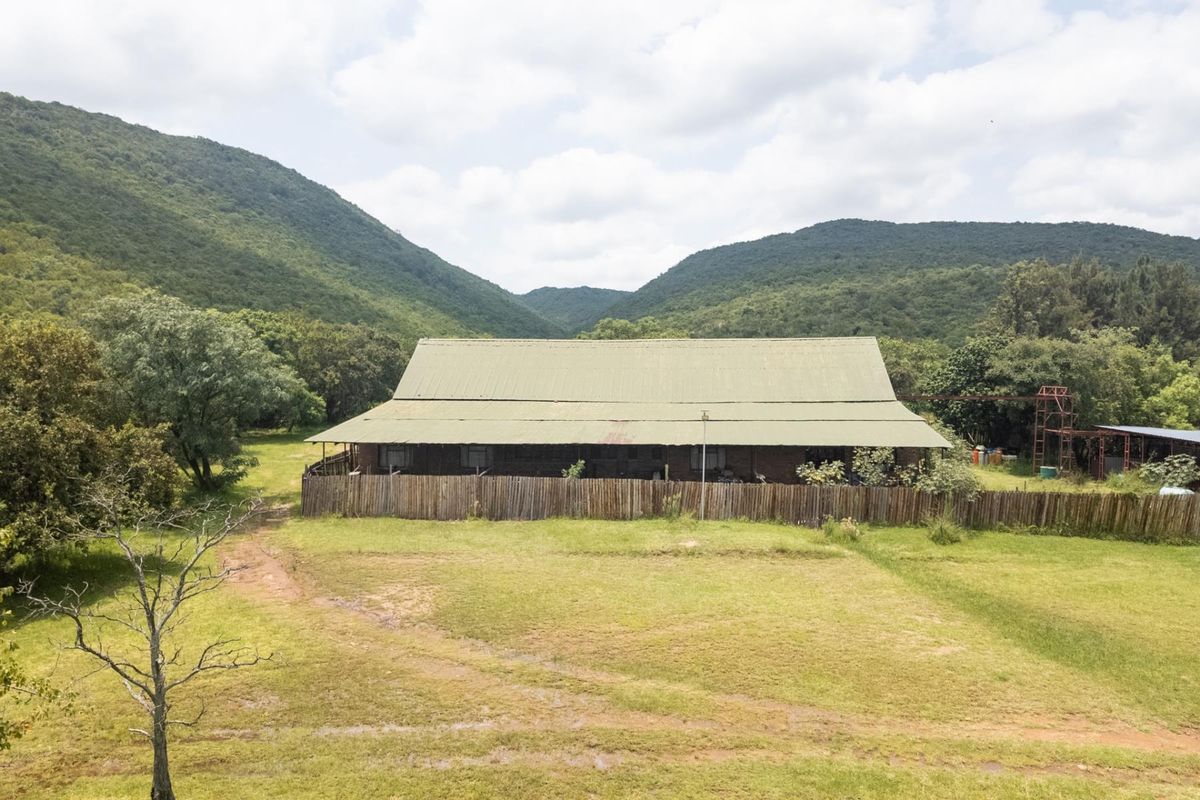 Exceptional 70ha Multi-Purpose Farm on the R101 near Mokopane. - Photo 4