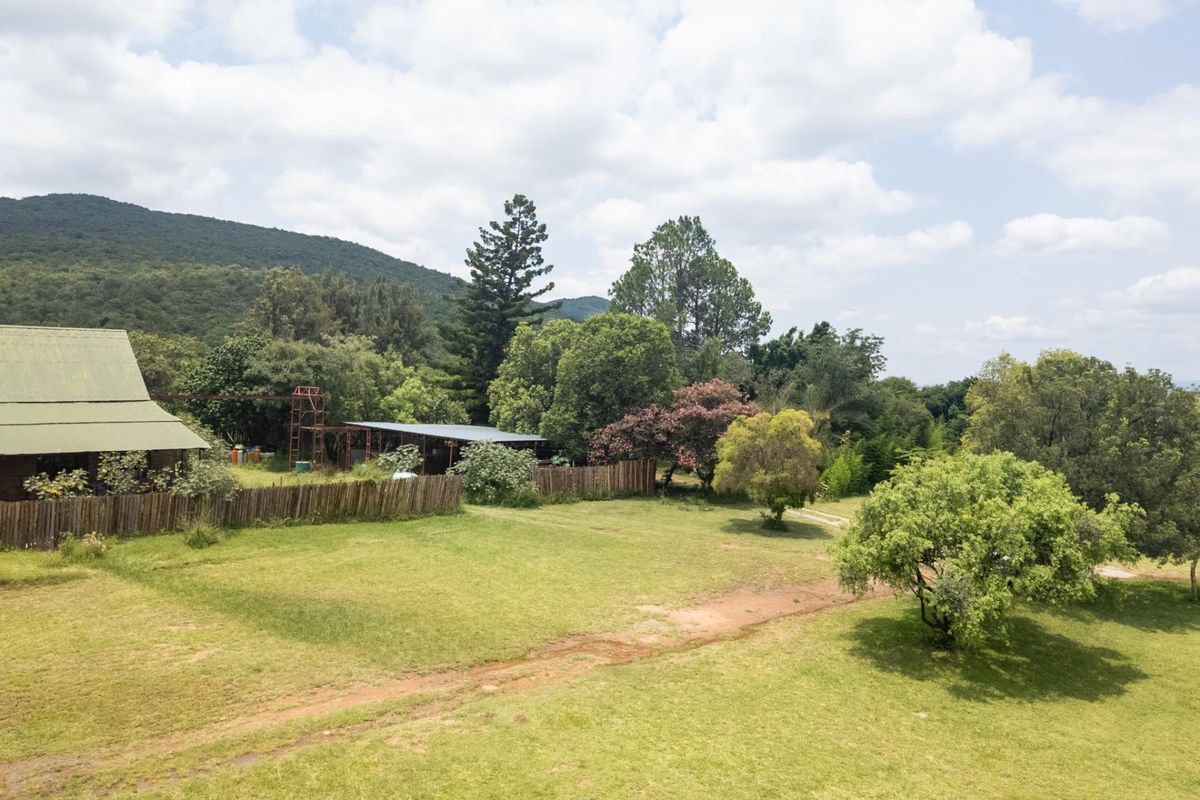 Exceptional 70ha Multi-Purpose Farm on the R101 near Mokopane. - Photo 5