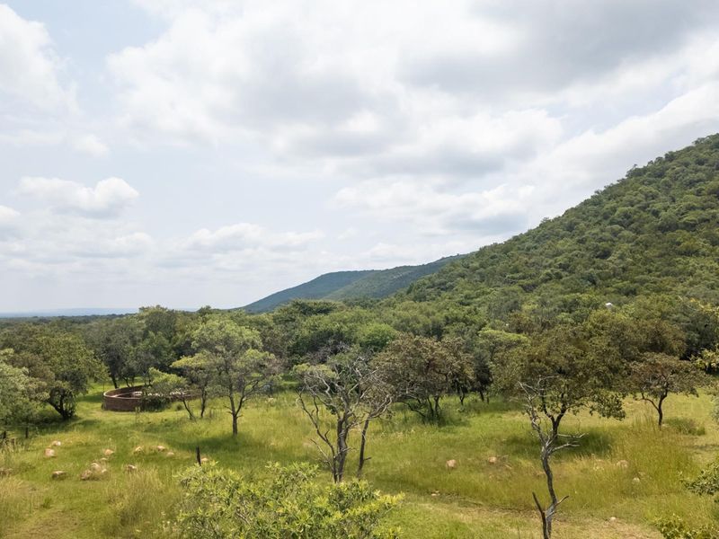 Exceptional 70ha Multi-Purpose Farm on the R101 near Mokopane. - Photo 1