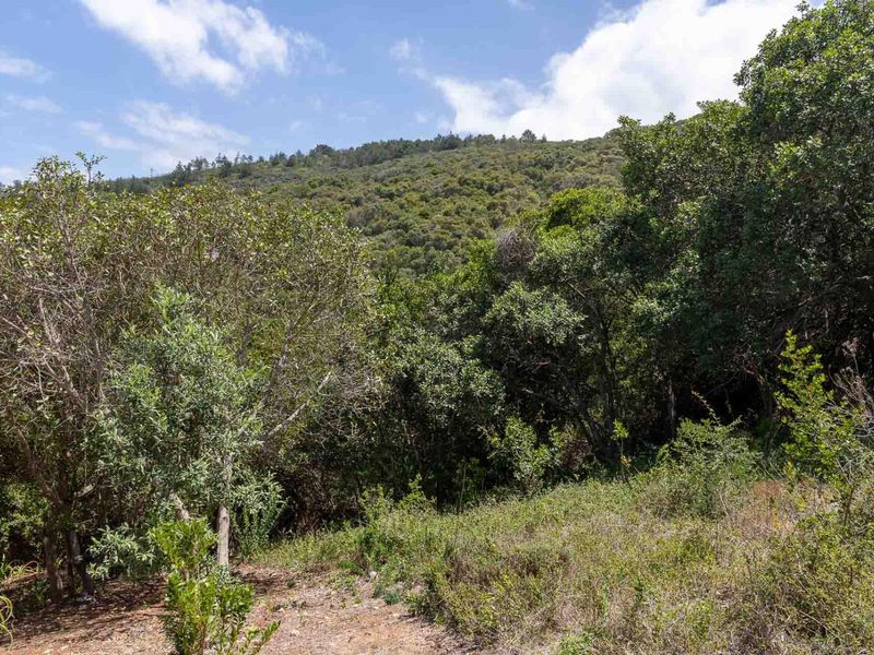 Elevated stand with approved building plans, breaker views and walking distance to the bea - Photo 6