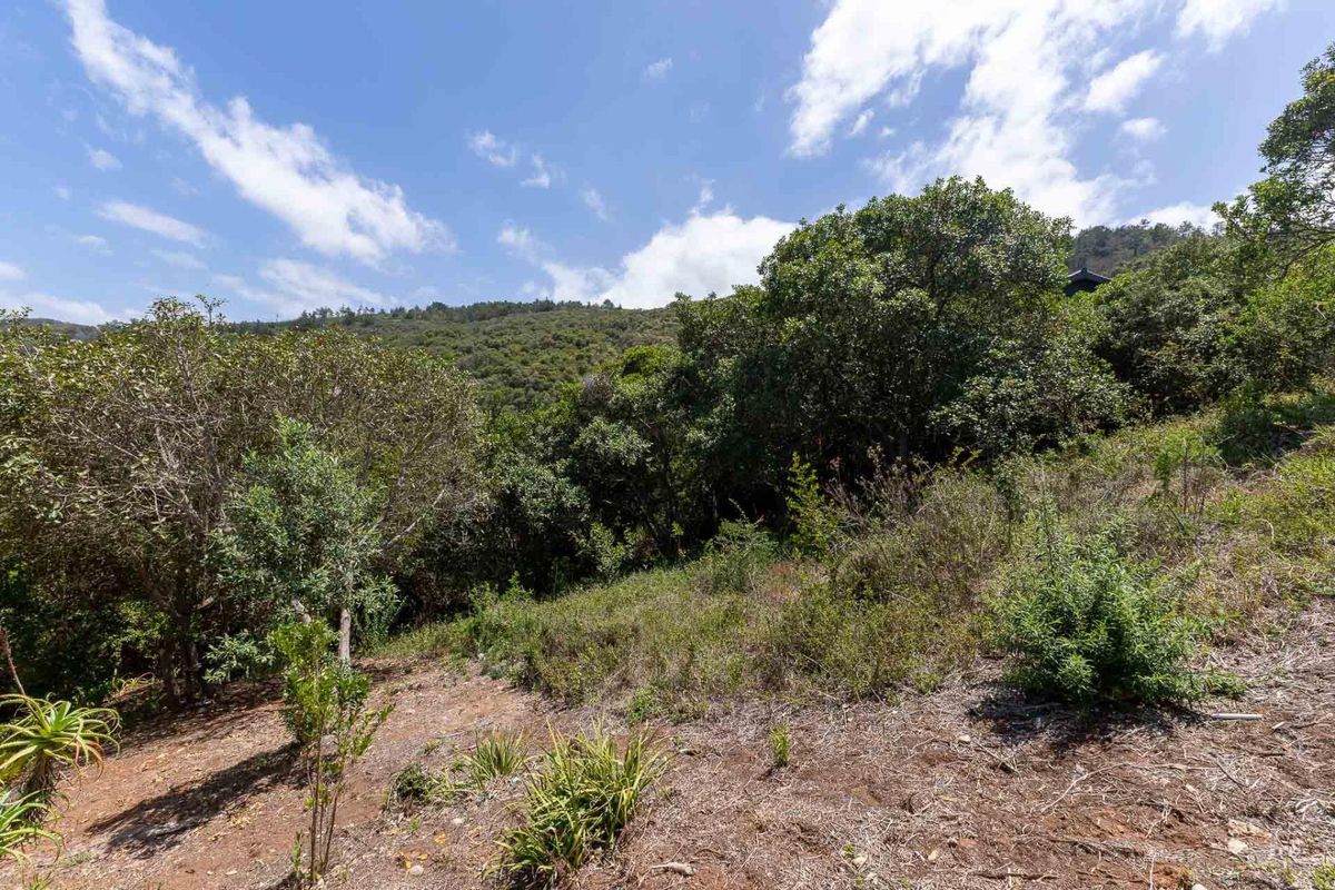 Elevated stand with approved building plans, breaker views and walking distance to the bea - Photo 2