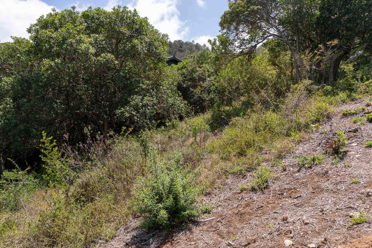 Elevated stand with approved building plans, breaker views and walking distance to the bea - Photo 4