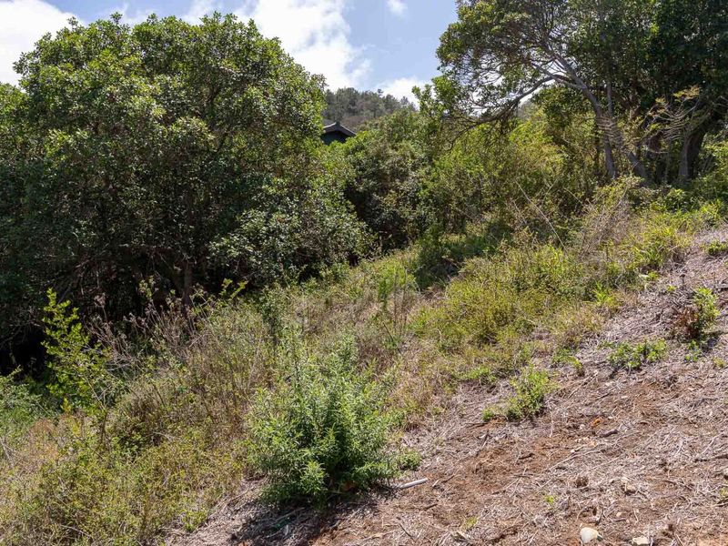 Elevated stand with approved building plans, breaker views and walking distance to the bea - Photo 4
