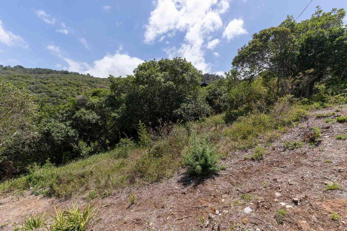 Elevated stand with approved building plans, breaker views and walking distance to the bea - Photo 3