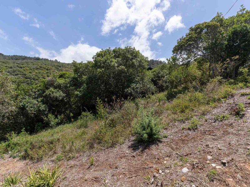 Elevated stand with approved building plans, breaker views and walking distance to the bea - Photo 3