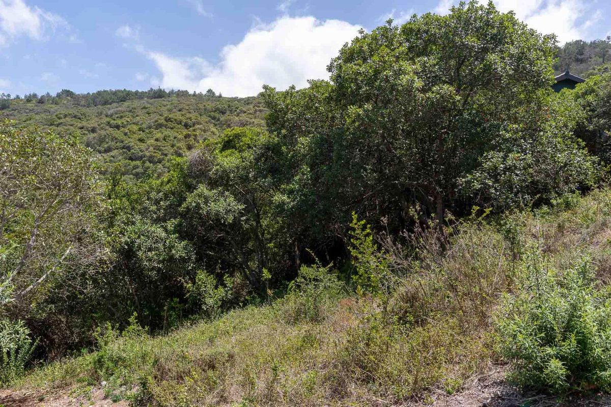 Elevated stand with approved building plans, breaker views and walking distance to the bea - Photo 5