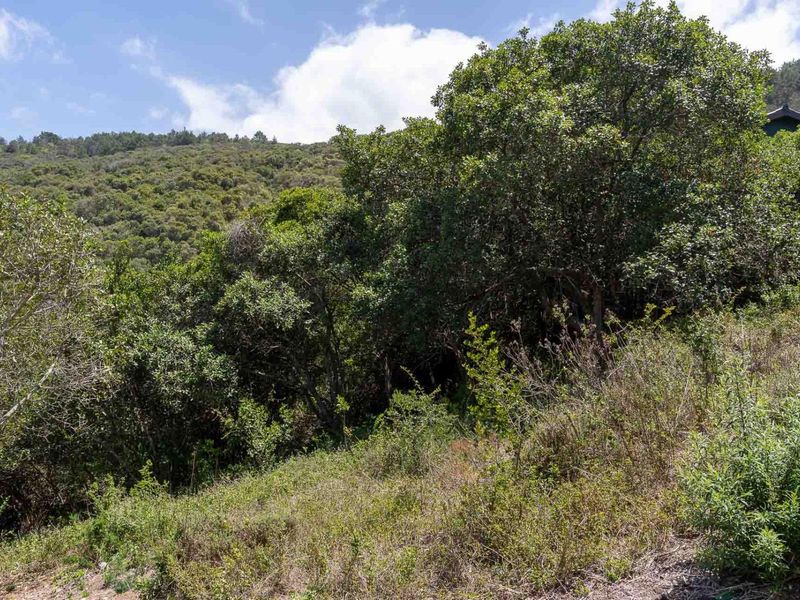 Elevated stand with approved building plans, breaker views and walking distance to the bea - Photo 5