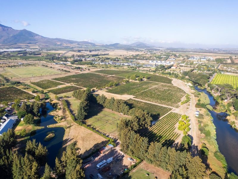 A Rare Chapter in the Cape Winelands - Photo 9