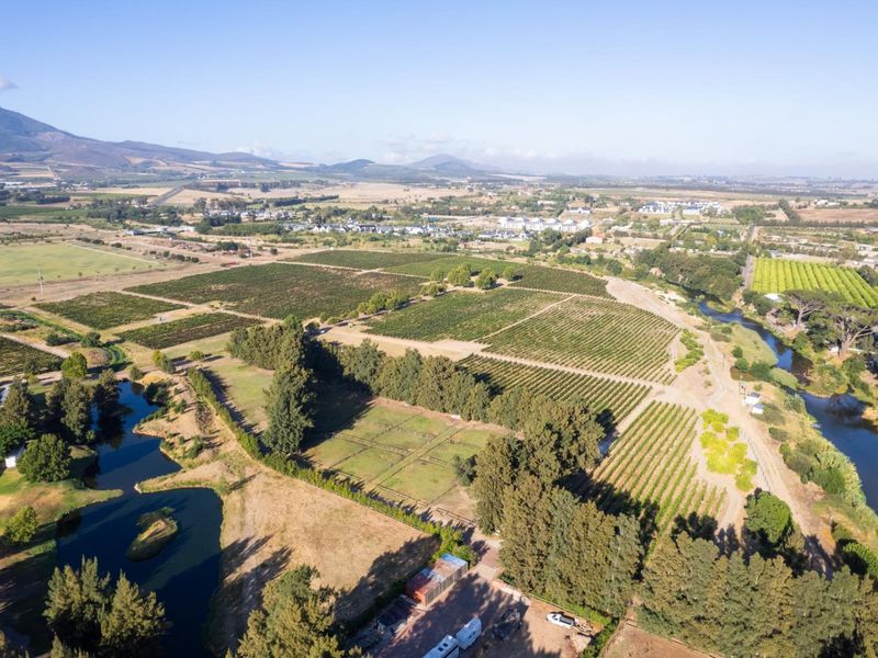 A Rare Chapter in the Cape Winelands - Photo 10