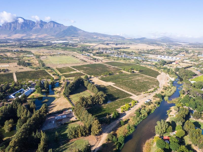 A Rare Chapter in the Cape Winelands - Photo 8