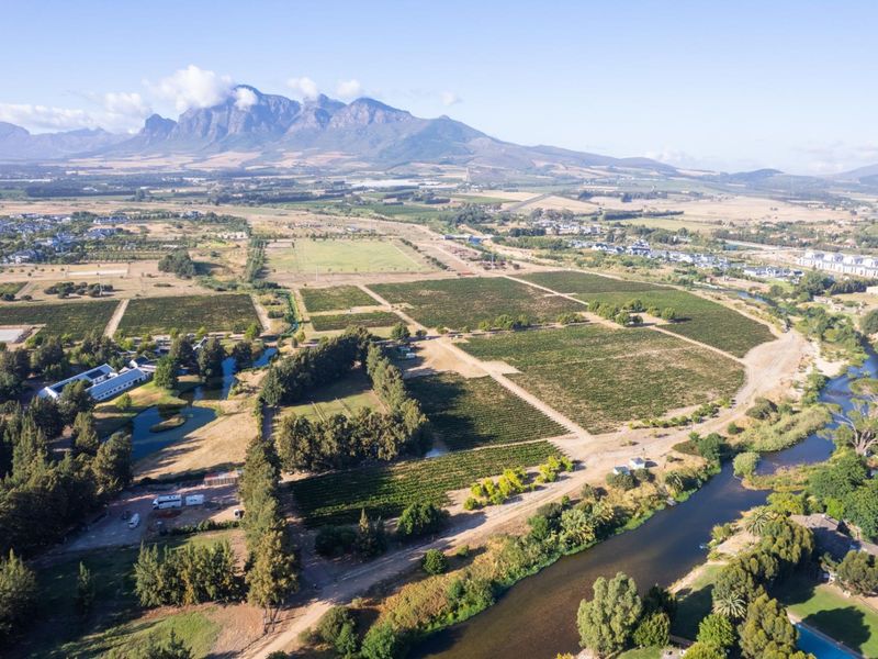 A Rare Chapter in the Cape Winelands - Photo 7