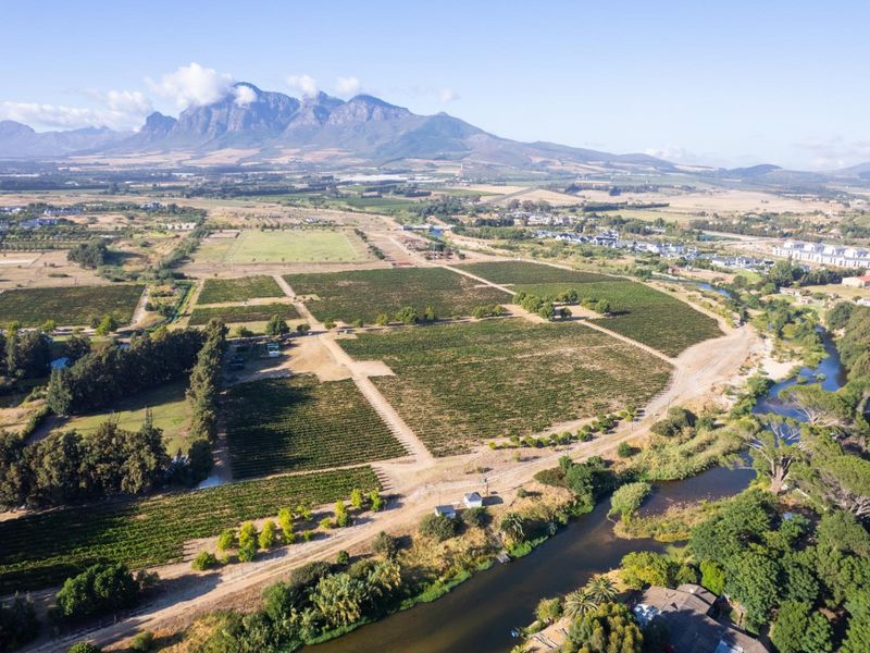 A Rare Chapter in the Cape Winelands - Photo 6