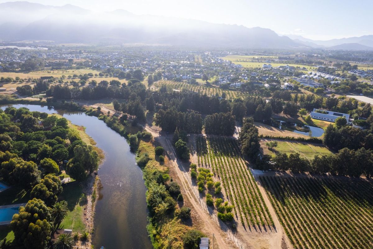 A Rare Chapter in the Cape Winelands - Photo 5