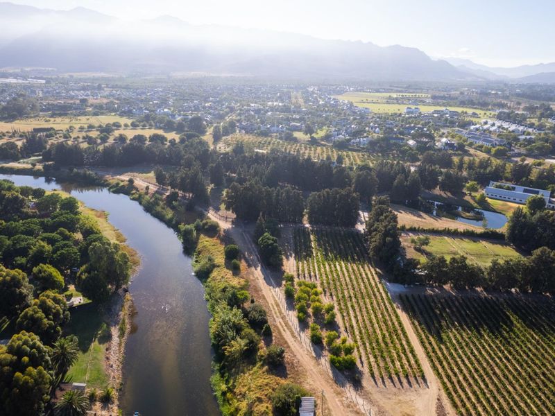 A Rare Chapter in the Cape Winelands - Photo 5