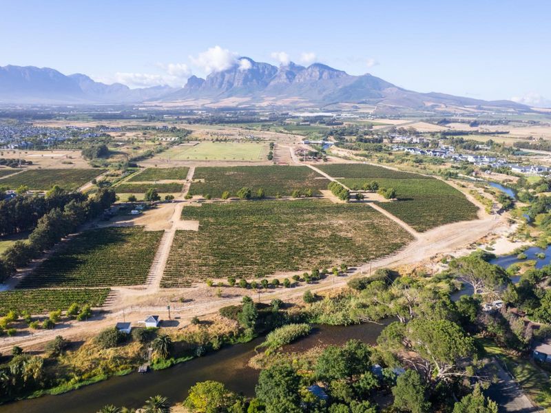A Rare Chapter in the Cape Winelands - Photo 1