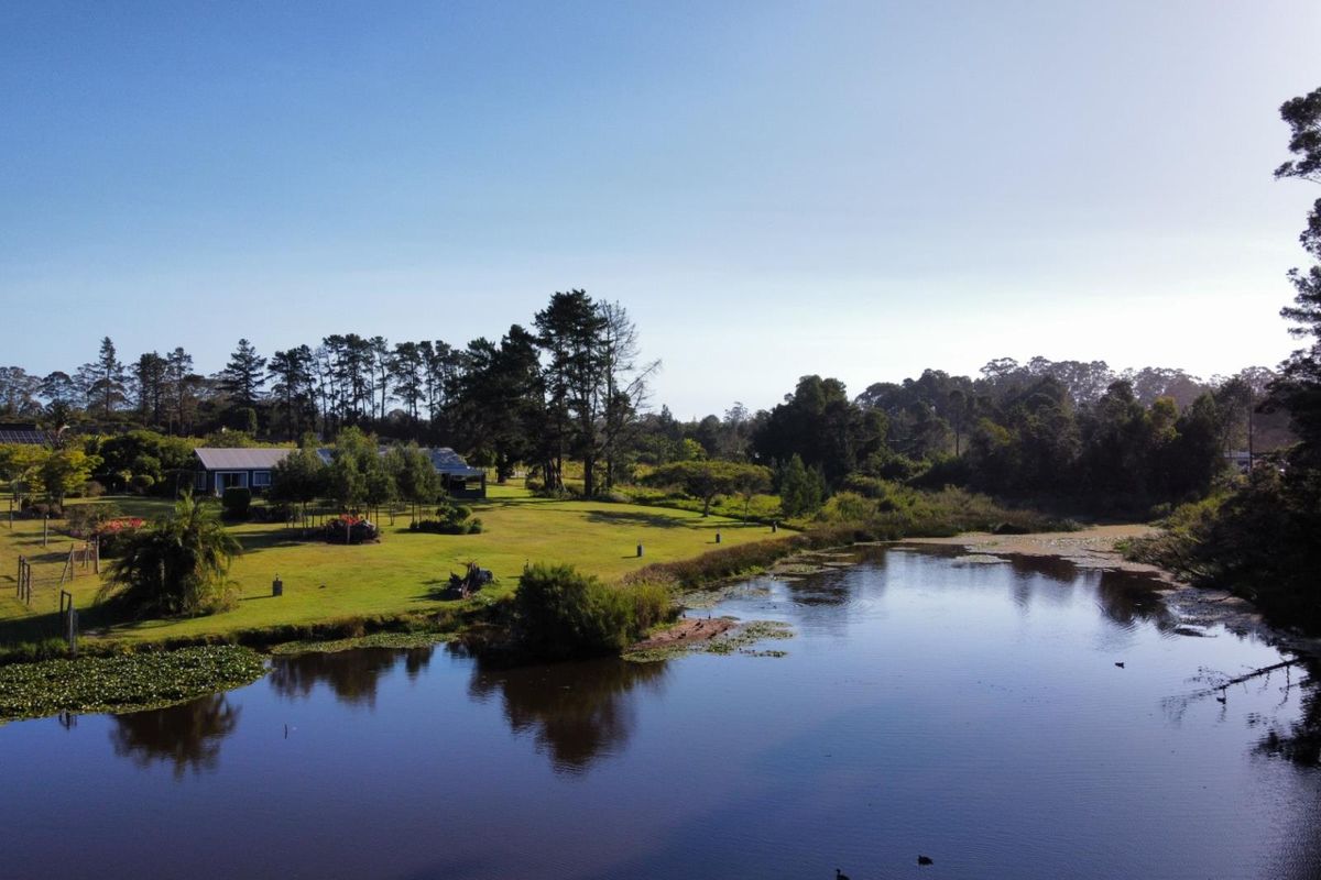 A Multifaceted Opportunity - Secluded Sanctuary, Restaurant and Vineyard - Photo 3