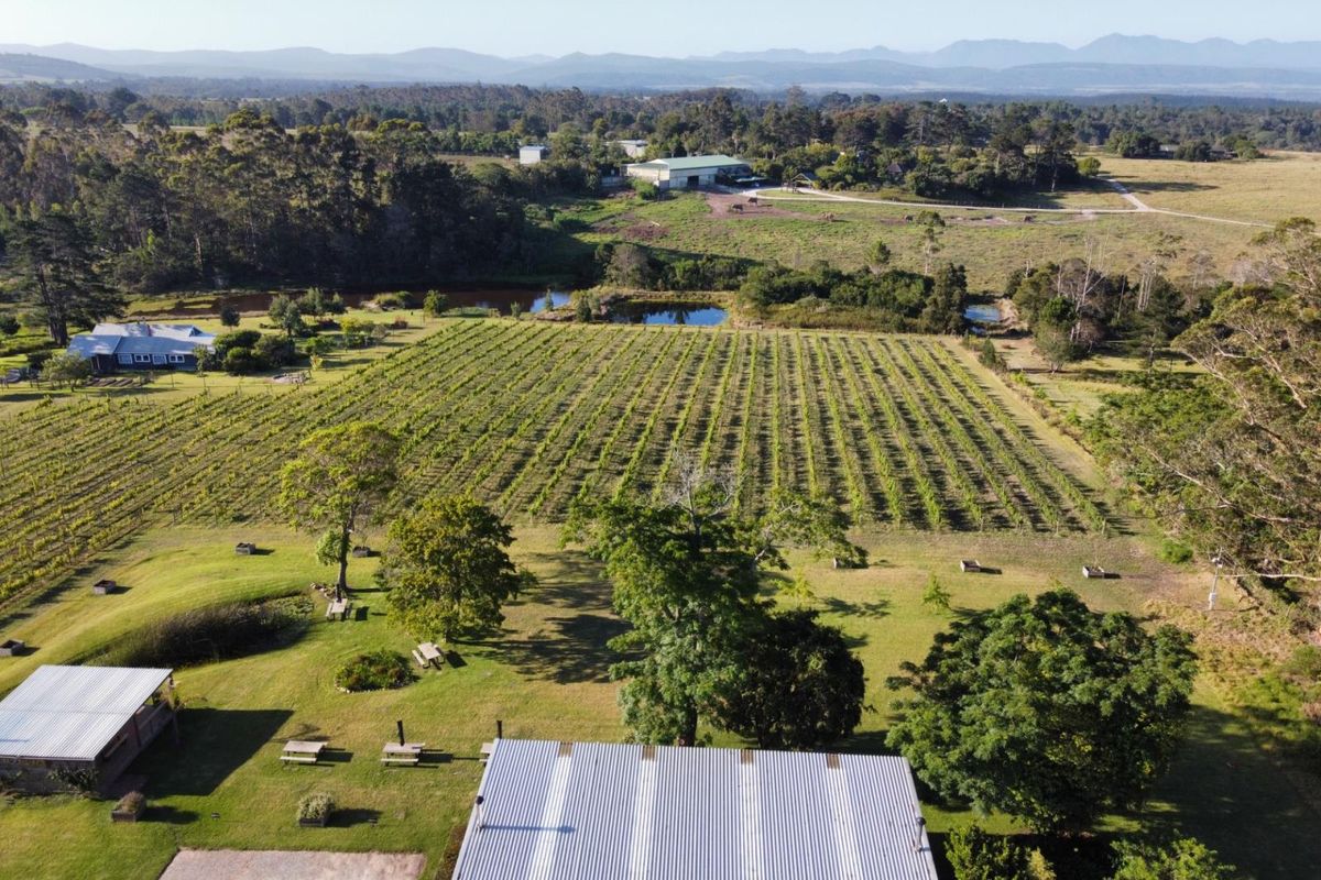 A Multifaceted Opportunity - Secluded Sanctuary, Restaurant and Vineyard - Photo 5