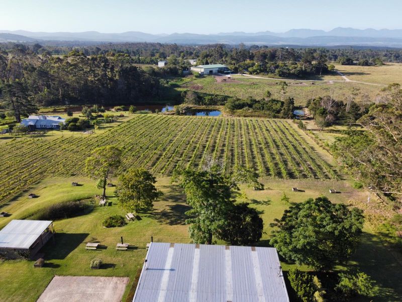 A Multifaceted Opportunity - Secluded Sanctuary, Restaurant and Vineyard - Photo 5