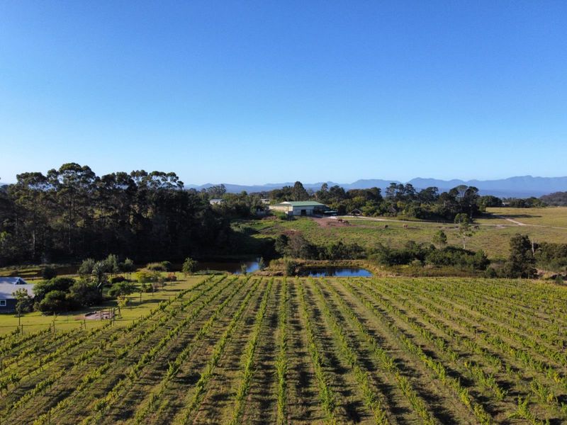 A Multifaceted Opportunity - Secluded Sanctuary, Restaurant and Vineyard - Photo 1