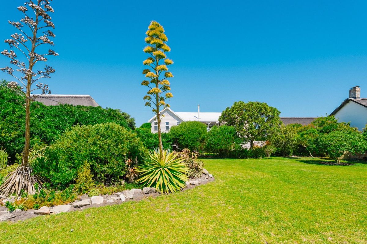 Where Birds Sing, Waves Whisper and Coastal Living Shines - Photo 5