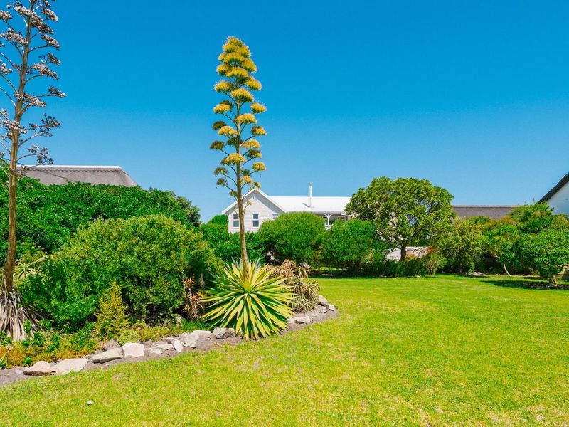 House Under Offer in Westcliff Hermanus Western Cape - Photo 5