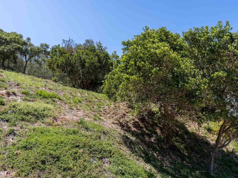 Large stand with breathtaking sea views - Photo 10