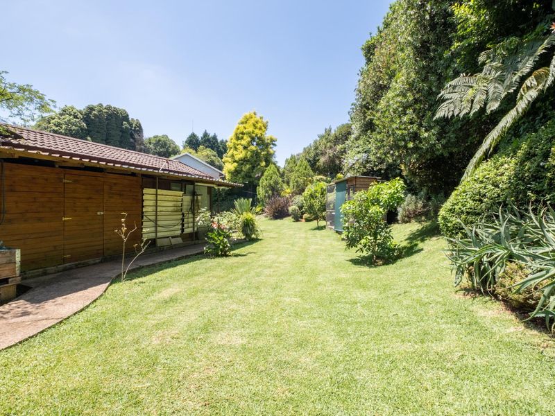 A Peaceful Family Retreat in One of Hilton’s Most Beloved Neighbourhoods - Photo 6