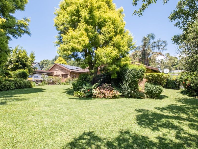 A Peaceful Family Retreat in One of Hilton’s Most Beloved Neighbourhoods - Photo 5