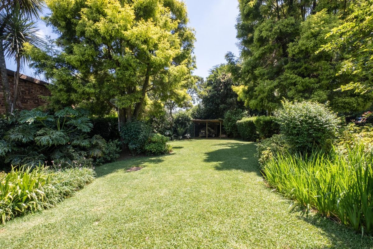 A Peaceful Family Retreat in One of Hilton’s Most Beloved Neighbourhoods - Photo 3