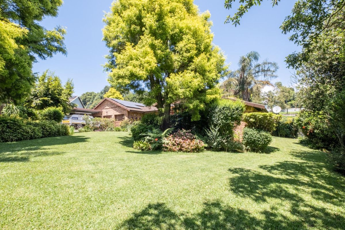 A Peaceful Family Retreat in One of Hilton’s Most Beloved Neighbourhoods - Photo 5